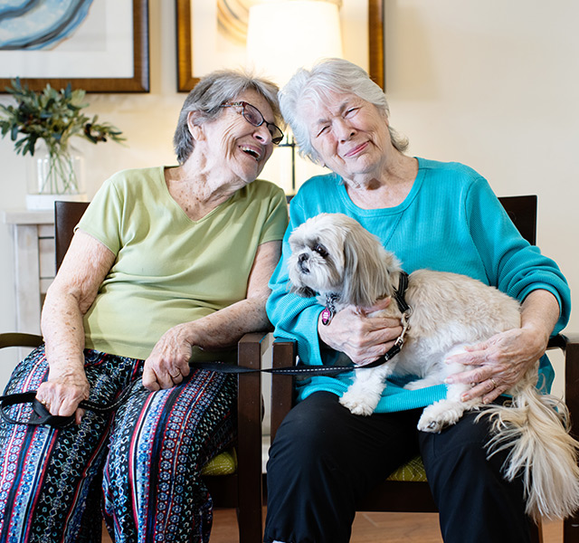 Exceptional Senior Living Choices in Albuquerque, NM