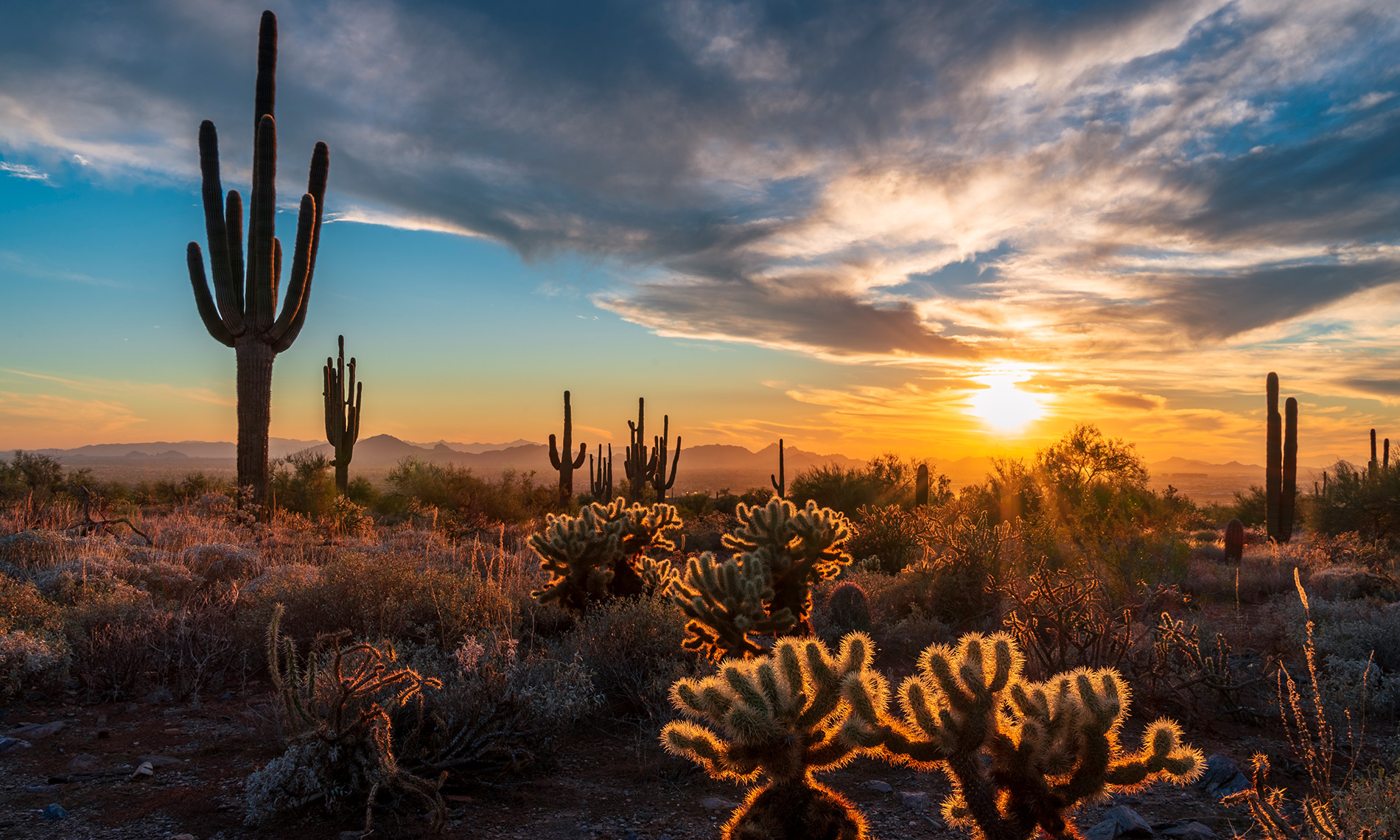 Joshua Springs Senior Living | Bullhead City, Arizona