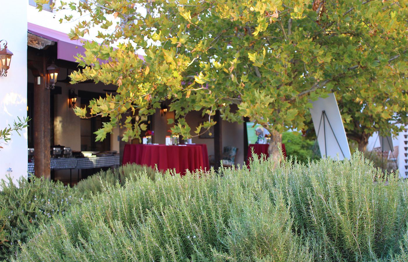 Greenery with tables in the background.