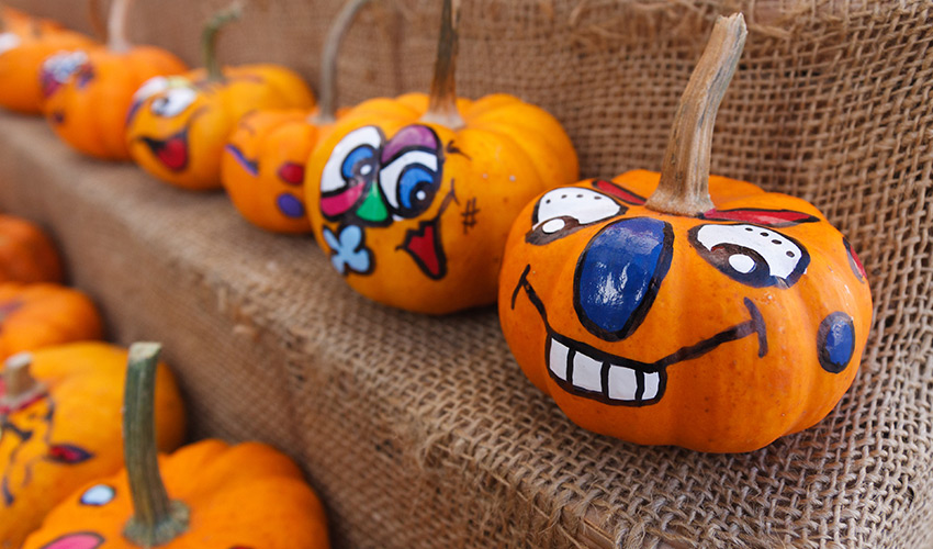 A row of painted pumpkins.