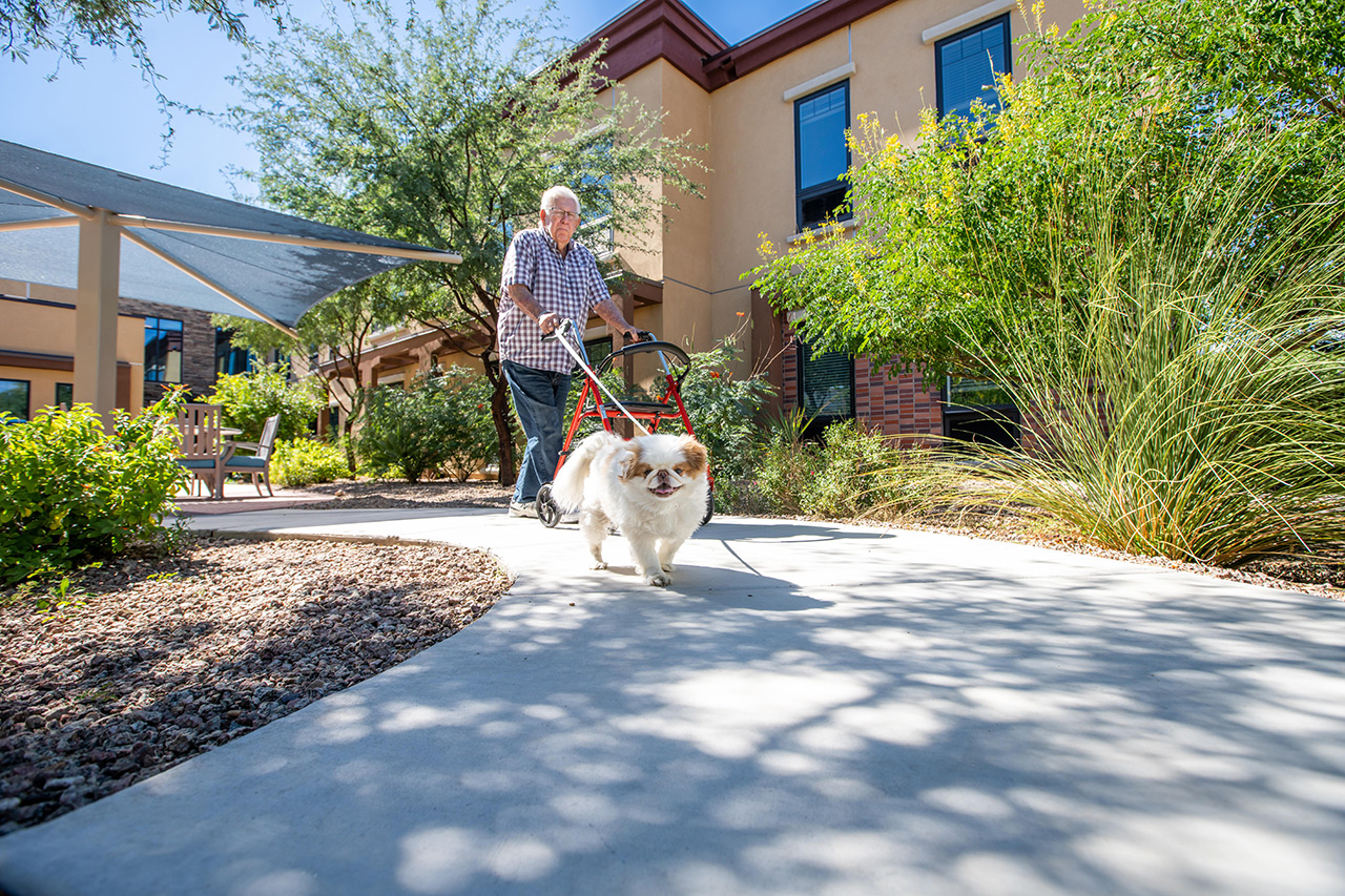 A resident is walking their dog.