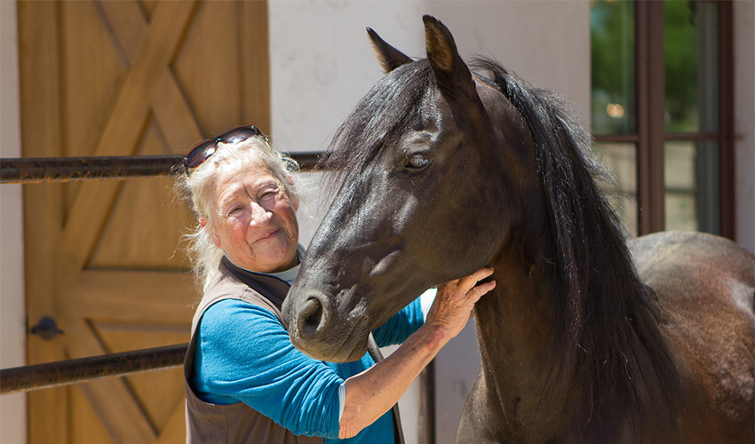 A person touching a horse.