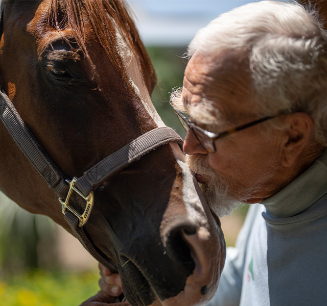 A person kissing a horse.